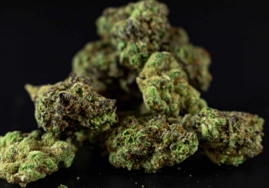 Looking for real THCa flower in Monmouth County? Discover premium, lab-tested THCa strains at Scarlet Reserve in Matawan, NJ.