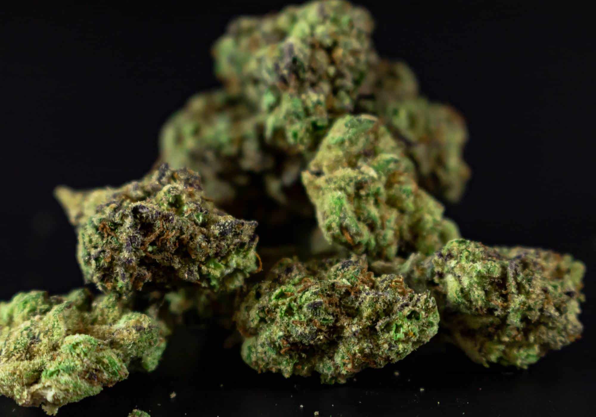 Looking for real THCa flower in Monmouth County? Discover premium, lab-tested THCa strains at Scarlet Reserve in Matawan, NJ.