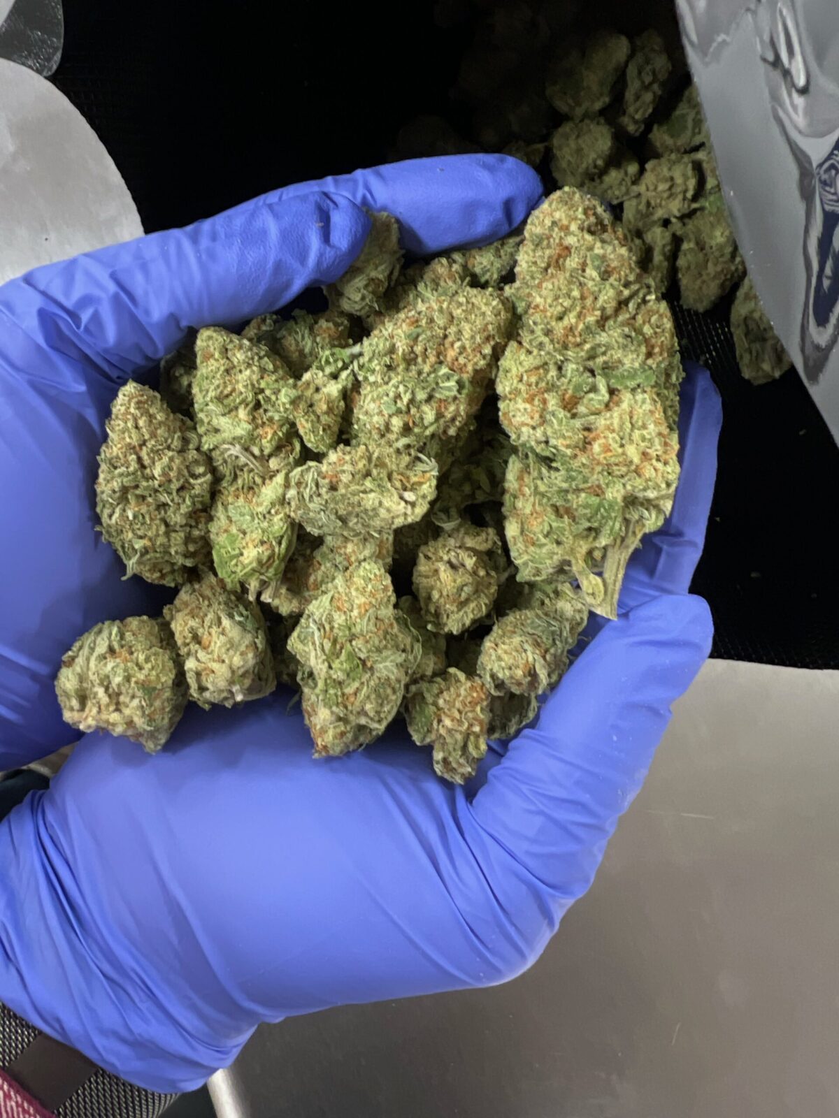 Sour Diesel THCA Flower available at Scarlet Reserve
