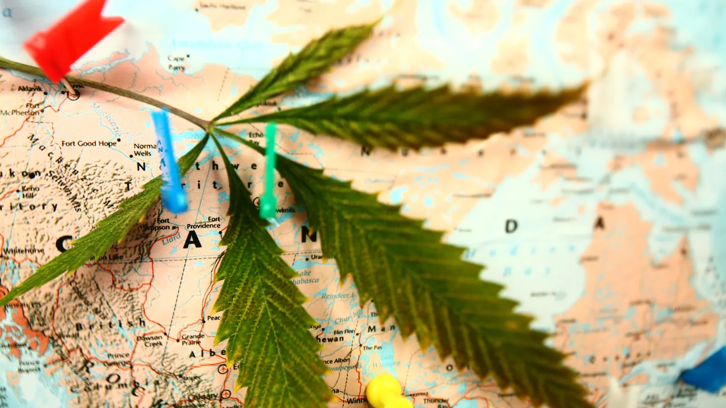 Can you travel with CBD? NJ residents: Learn TSA rules, driving tips, and how to pack your CBD safely from Scarlet Reserve in Matawan.